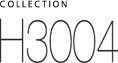 H3004