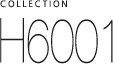 H6001